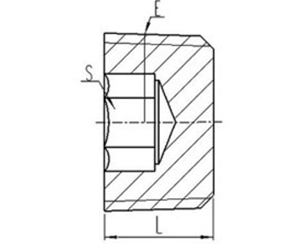 英錐管外螺紋內（nèi）六角（jiǎo）堵頭