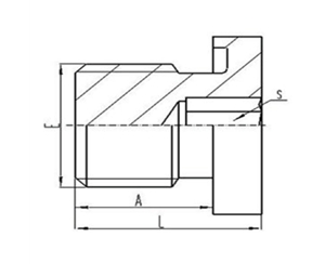 英製外螺紋（wén）ED膠墊密（mì）封內六角堵頭