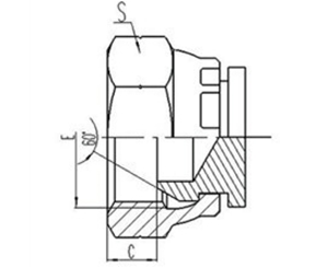 英製活動內螺紋60°外（wài）錐麵密封堵（dǔ）頭