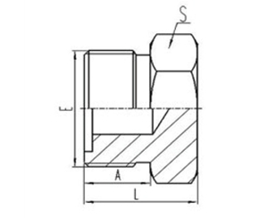 公製外螺紋平麵O形（xíng）圈密封堵頭